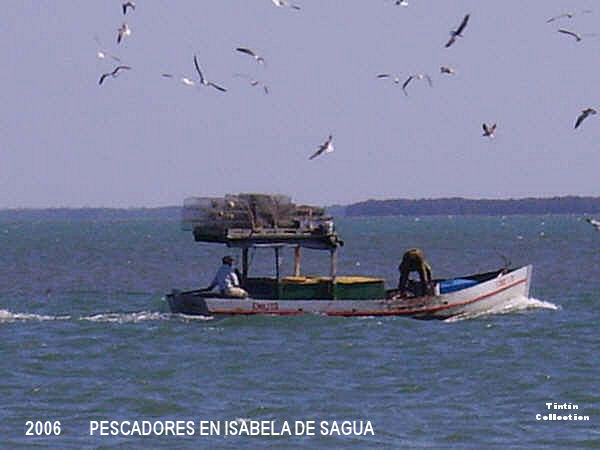 tt-isabela-barco-gaviotas-2006.jpg