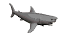 tiburon2.gif